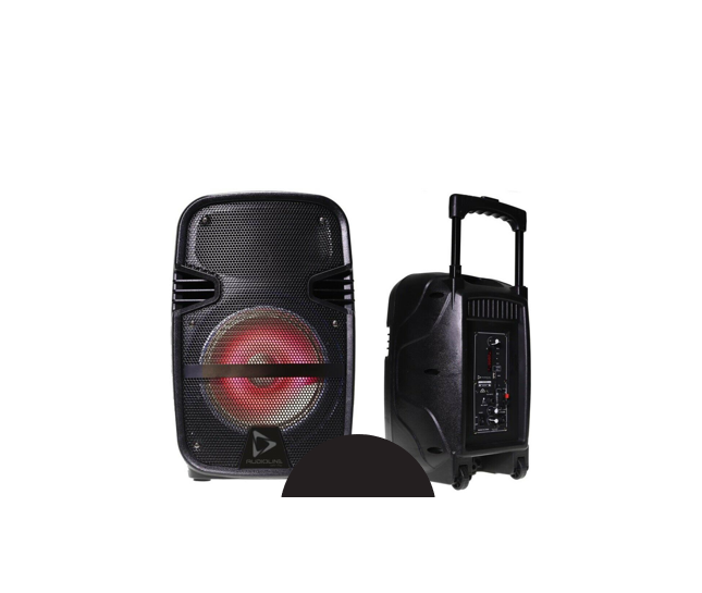 Gold Coast Projector hire - battery powered PA speaker